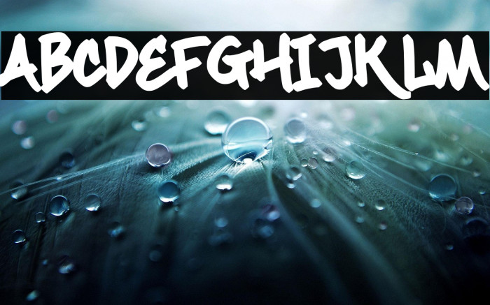 Maximback Regular Example 1