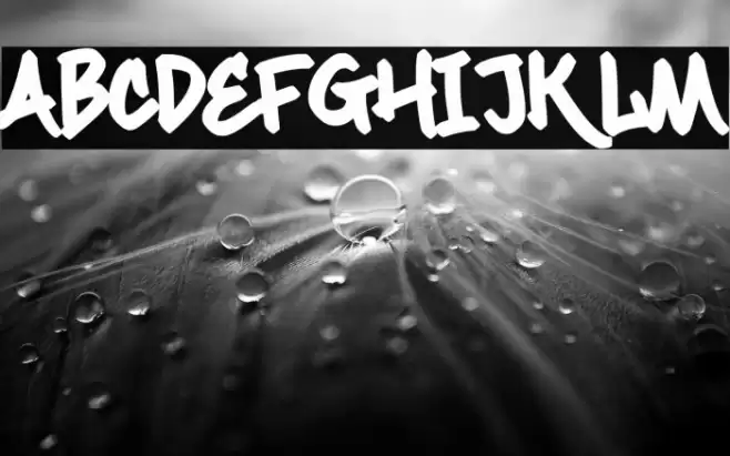 Maximback Regular Font examples