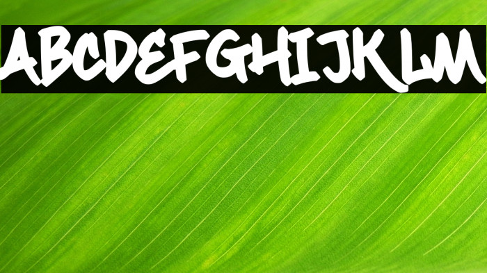 Maximback Regular Example 2