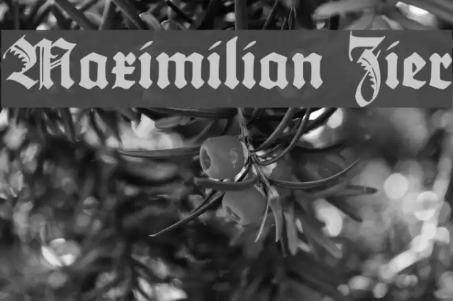 Maximilian Zier Schriftart examples