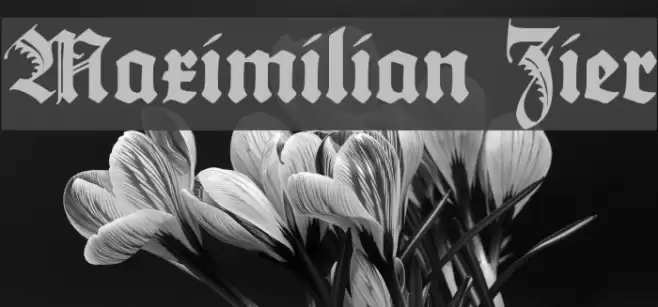 Maximilian Zier Schriftart examples