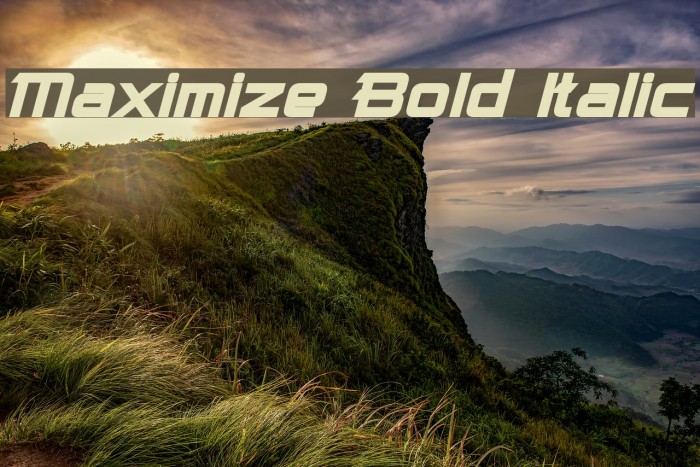 Maximize Bold Italic Font examples