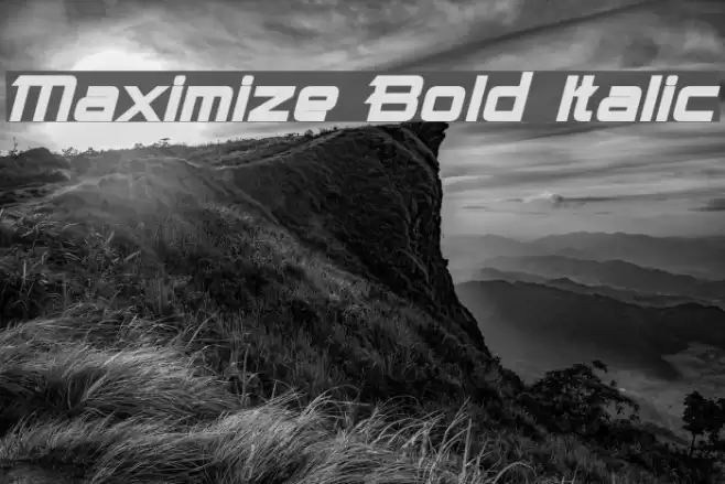 Maximize Bold Italic examples