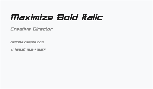 Maximize Bold Italic Business Card