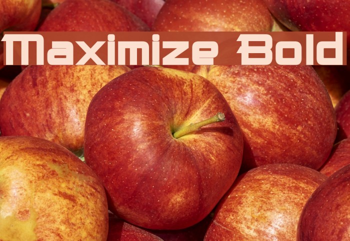 Maximize Bold Font examples