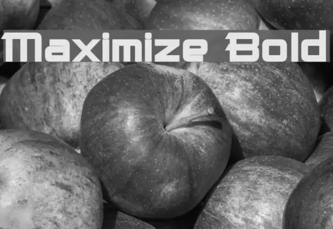 Maximize Bold Example 1
