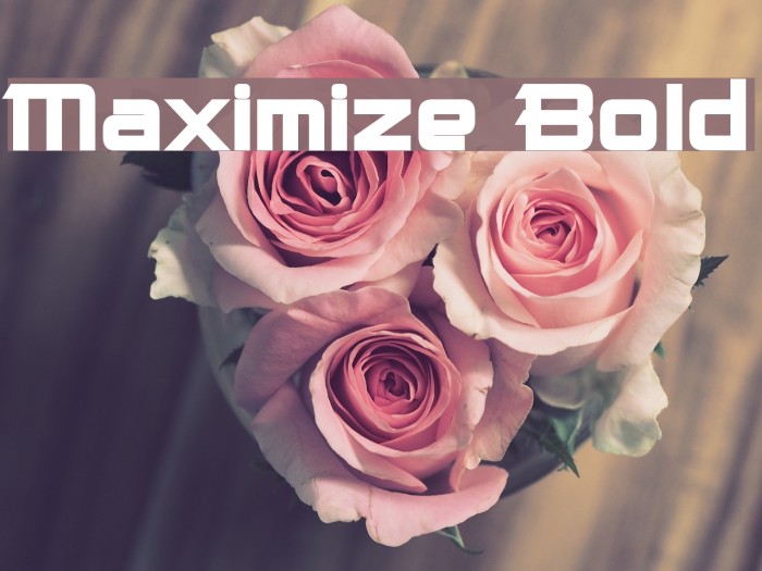 Maximize Bold Font examples
