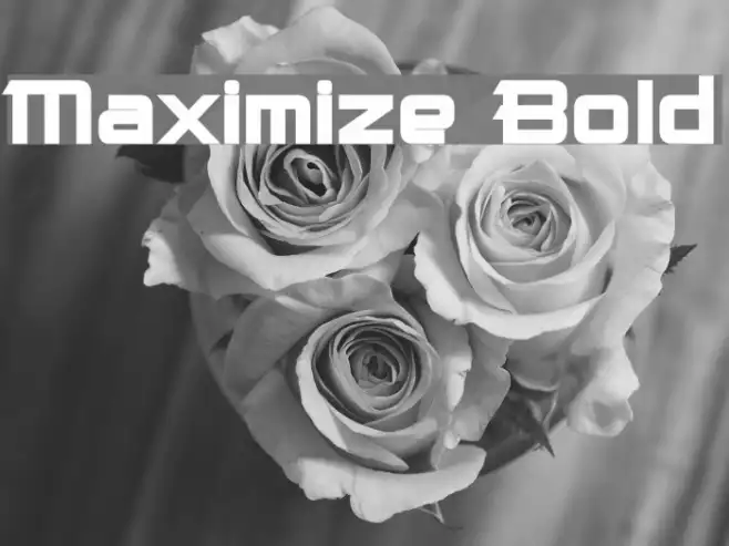 Maximize Bold Example 2