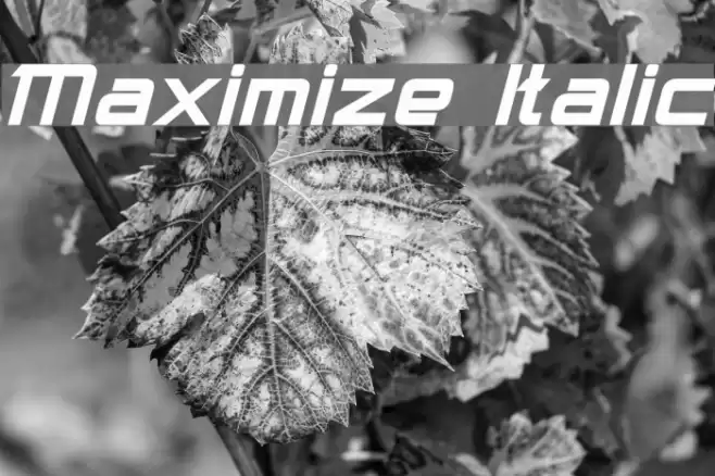 Maximize Italic examples