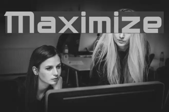 Maximize Example 1