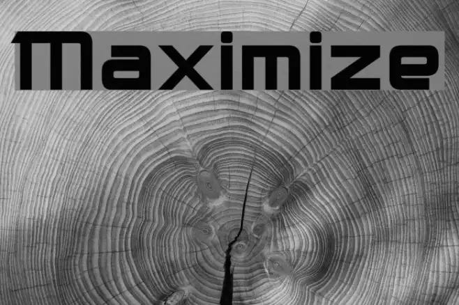 Maximize Example 3