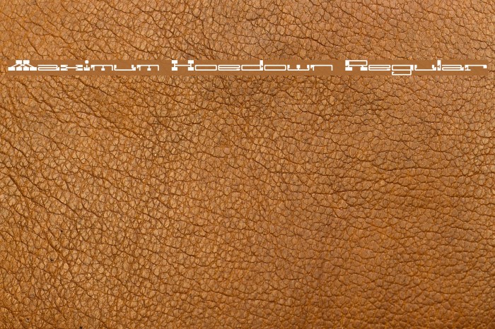 Maximum Hoedown Regular Font examples
