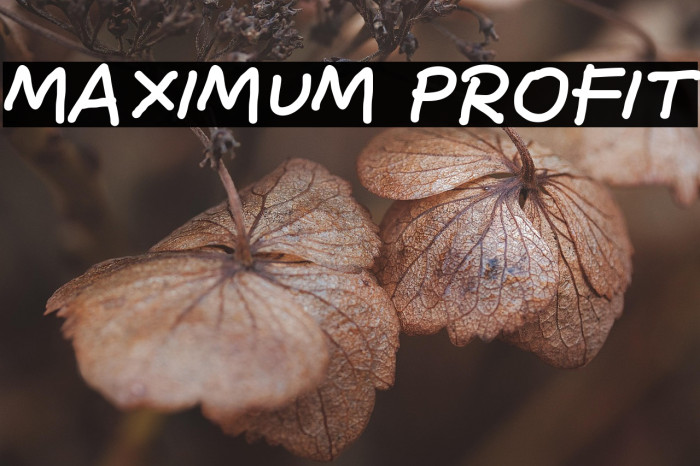 Maximum Profit Example 1