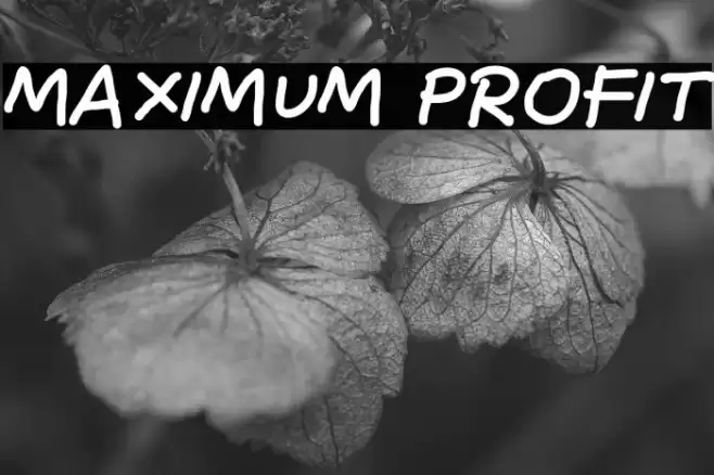 Maximum Profit Fuentes examples