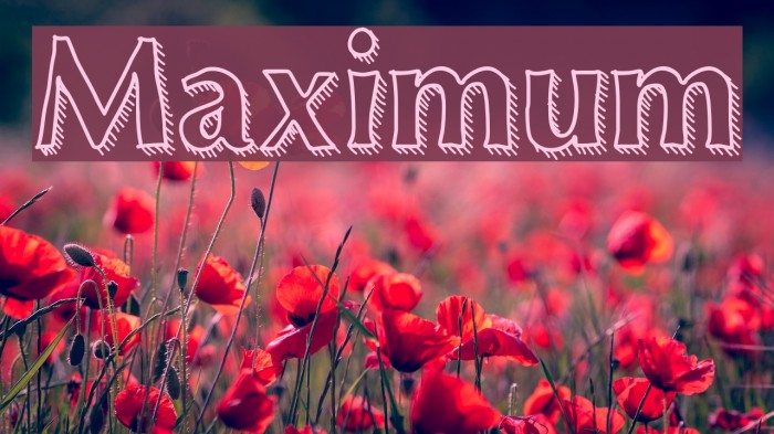 Maximum Font examples