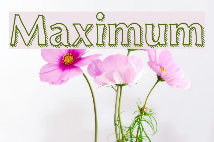 Maximum Font examples