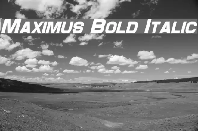 Maximus Bold Italic Font examples
