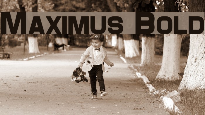 Maximus Bold Font examples