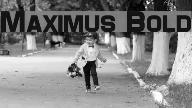 Maximus Bold Font examples