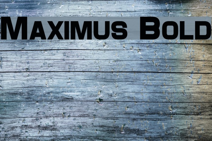 Maximus Bold Font examples