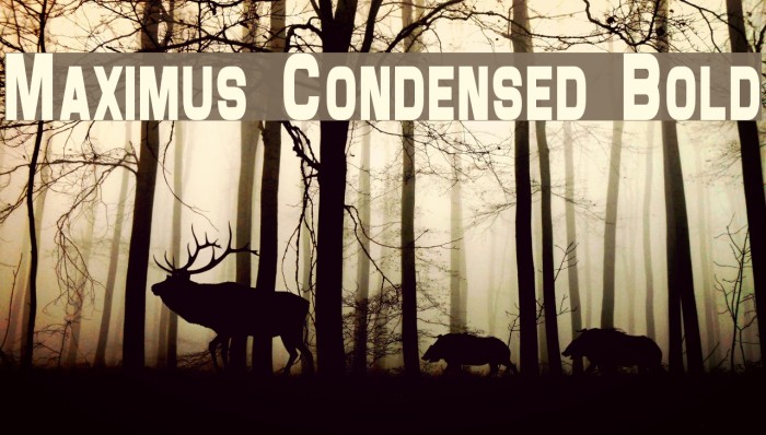 Maximus Condensed Bold Font examples