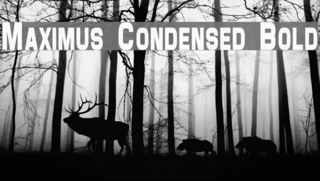 Maximus Condensed Bold Example 3