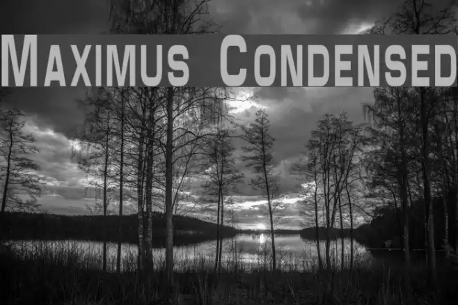 Maximus Condensed Font examples