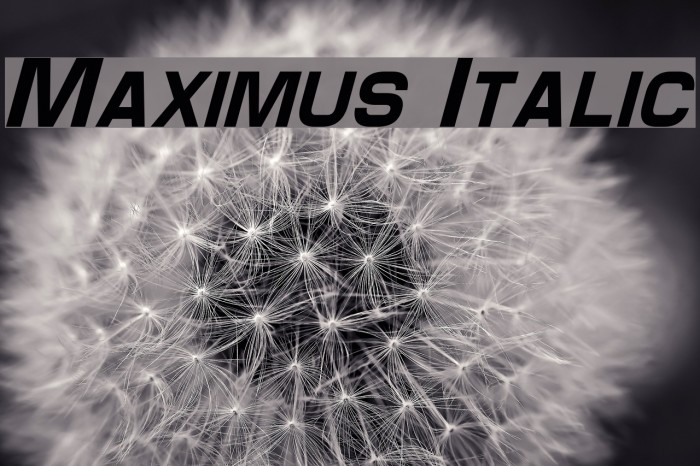 Maximus Italic Font examples