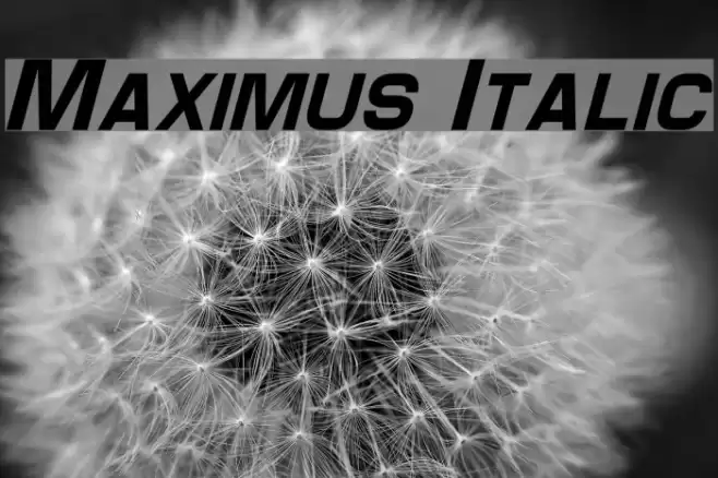 Maximus Italic examples