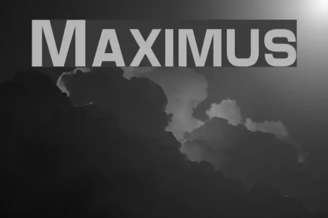 Maximus Example 3