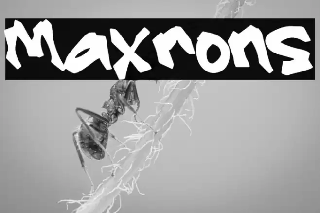 Maxrons Font examples