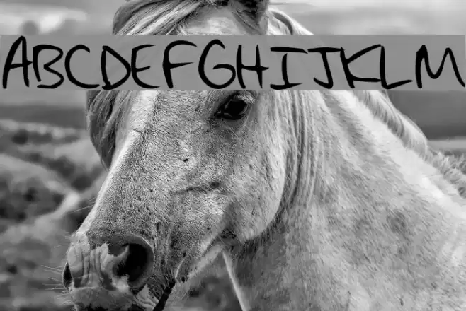 Max's Handwritin Font examples