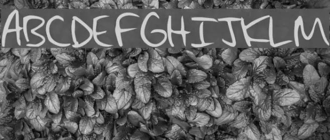 Max's Handwritin Font examples