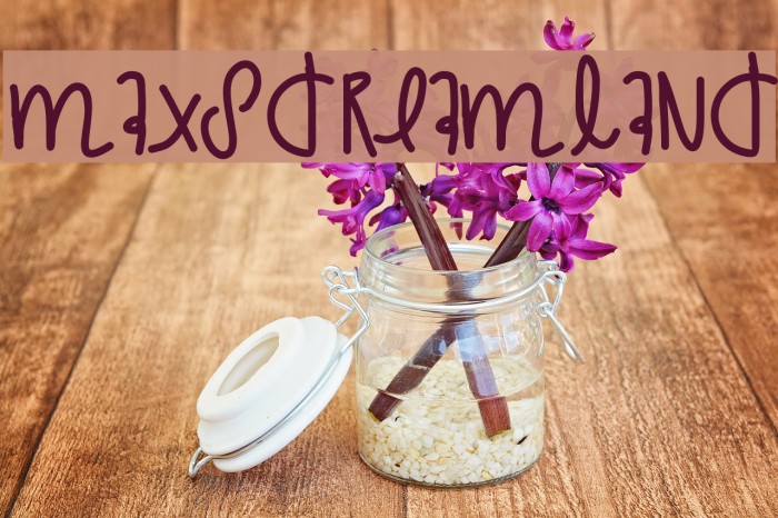 MaxsDreamland Font examples