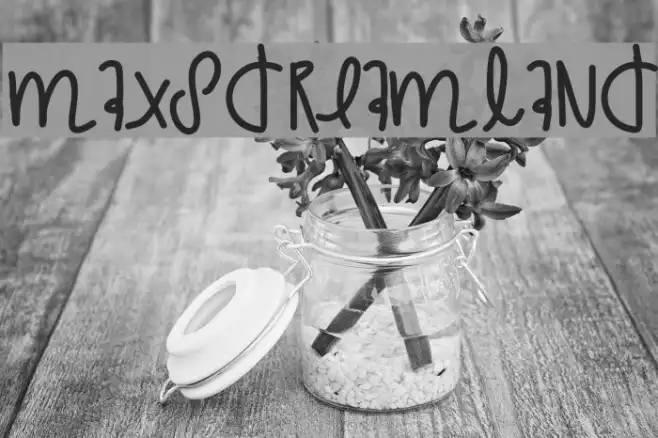 MaxsDreamland Example 2