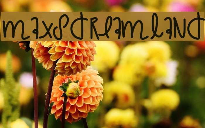 MaxsDreamland Font examples
