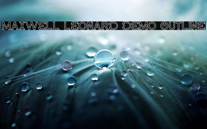 Maxwell Leonard Demo Outline Example 1