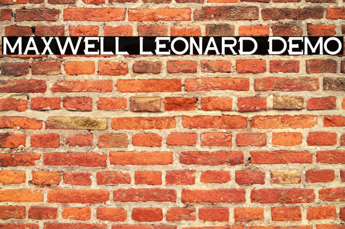 Maxwell Leonard Demo Example 1