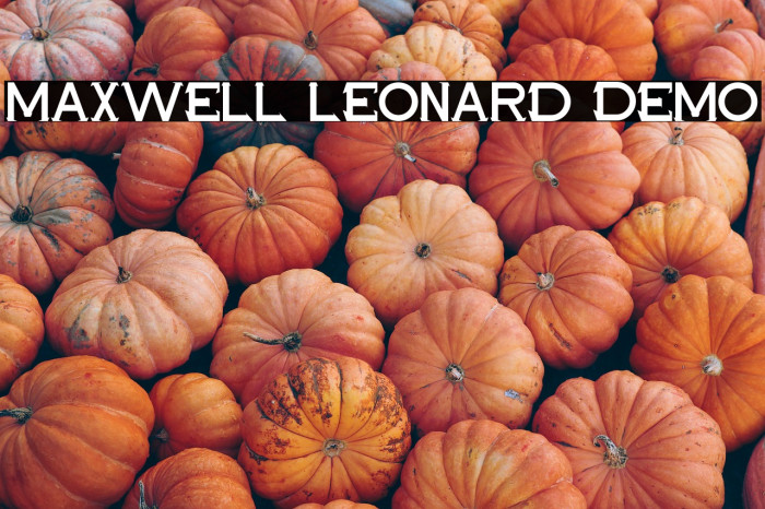 Maxwell Leonard Demo Example 3