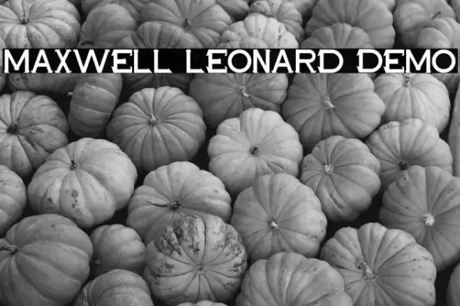 Maxwell Leonard Demo Font examples