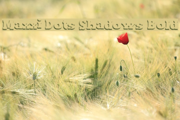 Maxxi Dots Shadows Bold Example 1