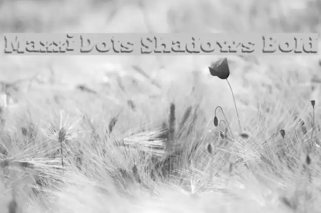 Maxxi Dots Shadows Bold Font examples