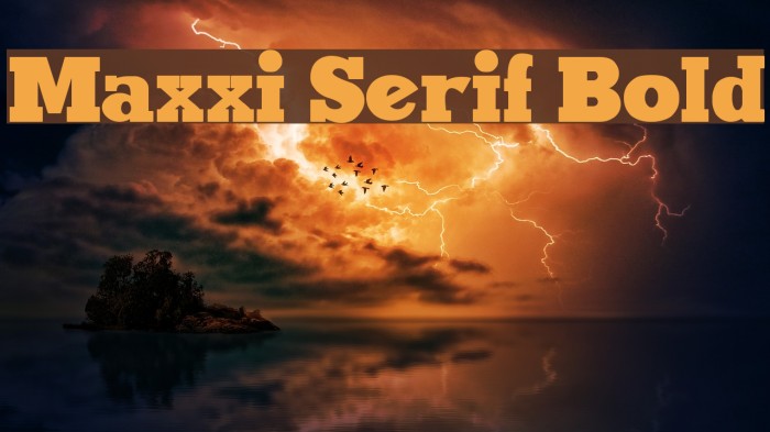 Maxxi Serif Bold Шрифта examples
