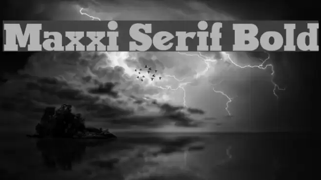 Maxxi Serif Bold Font examples