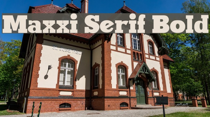 Maxxi Serif Bold Шрифта examples