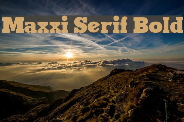Maxxi Serif Bold Шрифта examples