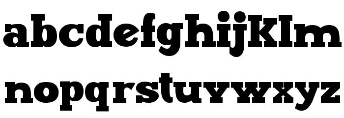 Maxxi Serif Bold Шрифта строчной