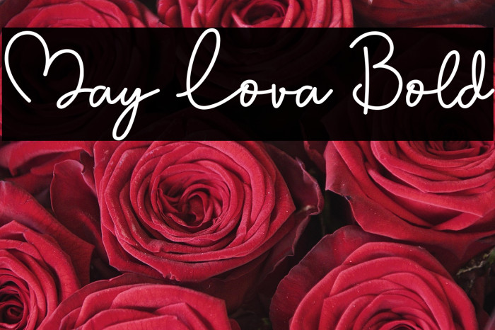 May Lova Bold Example 1