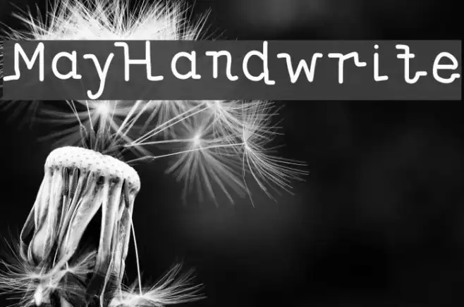 MayHandwrite Example 3