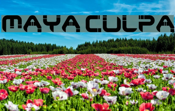 Maya Culpa Font examples